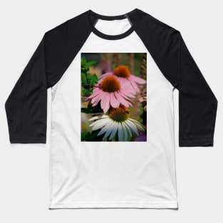 Echinacea Purpurea with Small Butterfly Baseball T-Shirt